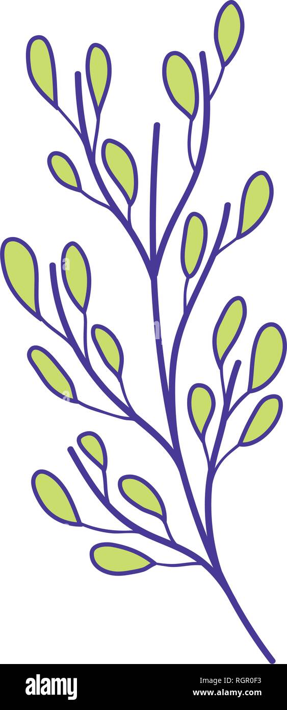branch with leafs plant Stock Vector Image & Art - Alamy