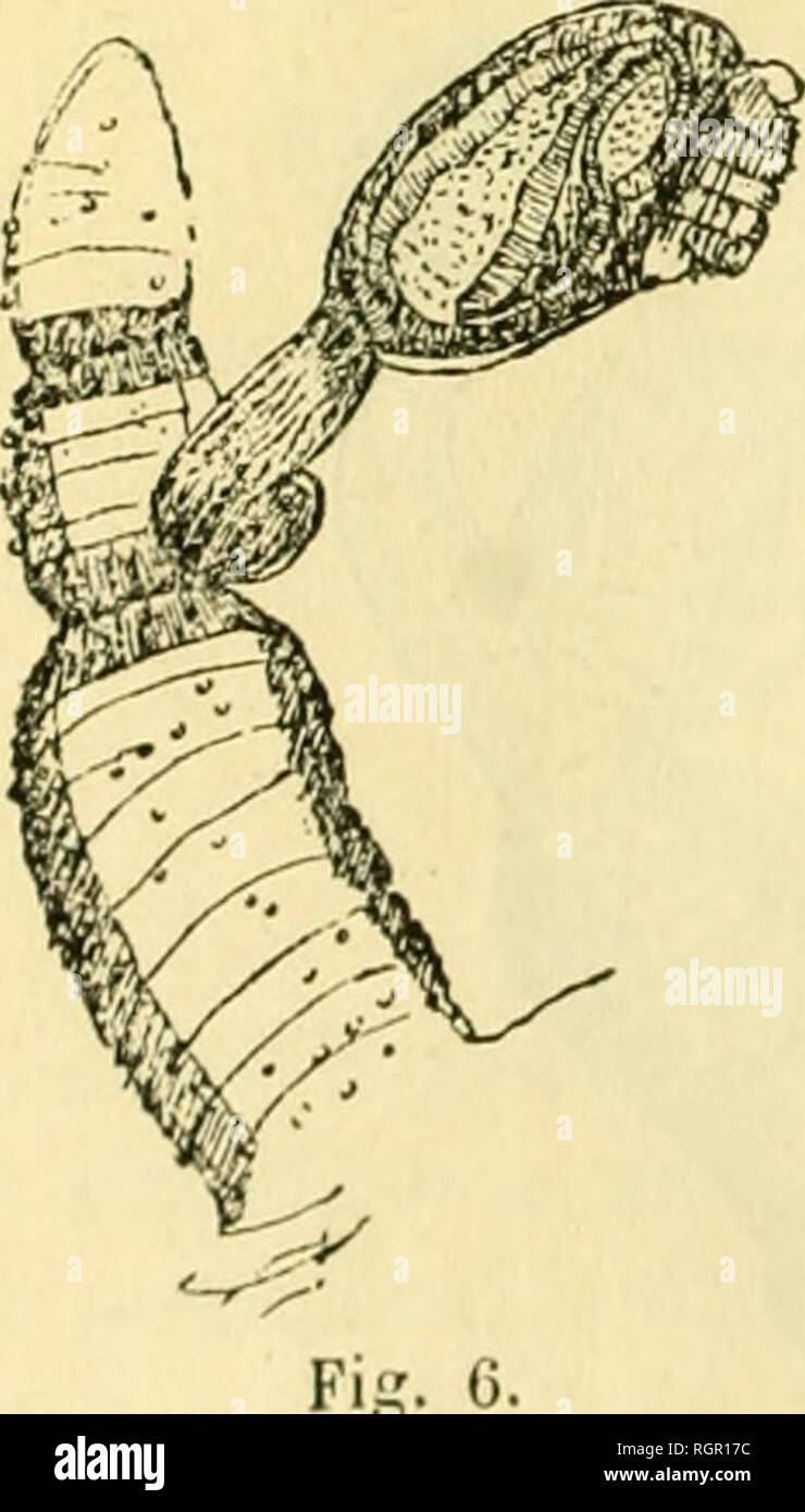 page 13 le cha high resolution stock photography and images alamy