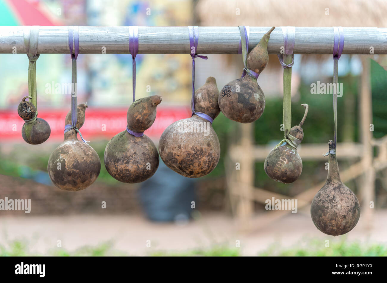 https://c8.alamy.com/comp/RGR1Y0/dry-calabash-hang-on-the-wooden-RGR1Y0.jpg