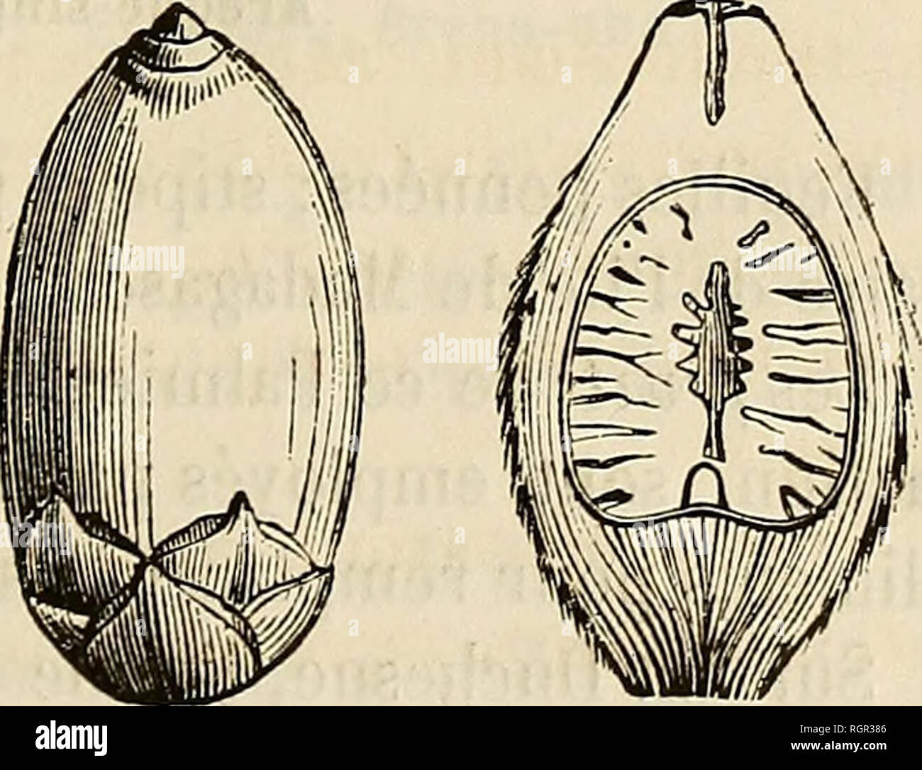 tenue cérémonie garçon 10 ans