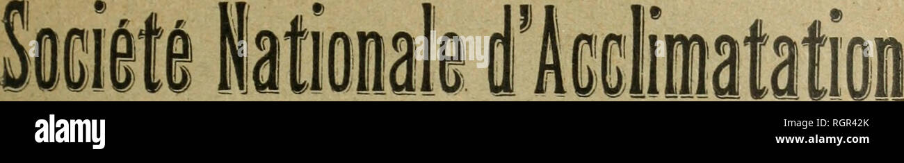 Distribution Des Recompenses High Resolution Stock Photography And Images Alamy