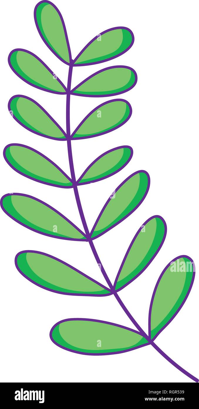 branch with leafs plant Stock Vector Image & Art - Alamy