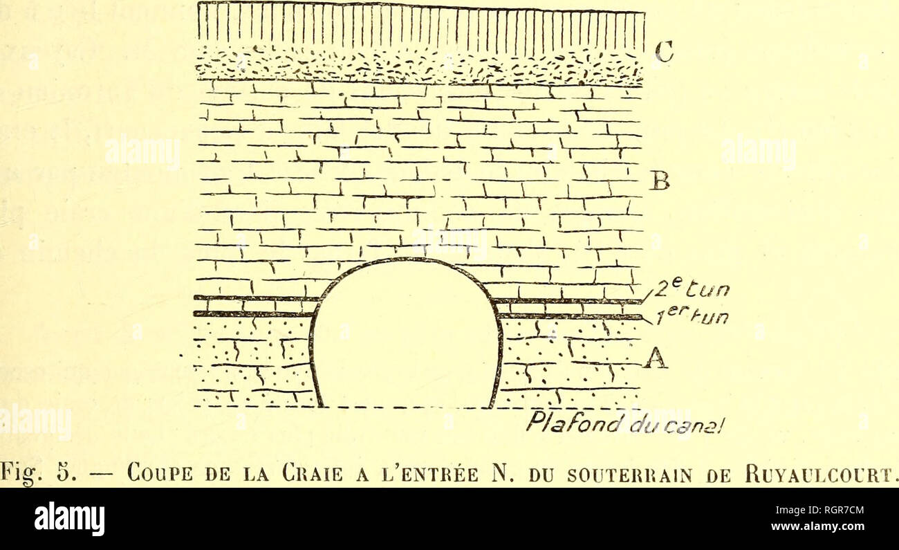 Plafond b ss 2019