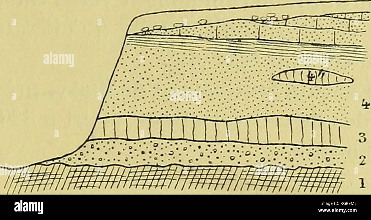 Le calcaire I - Géologie du calcaire grossier