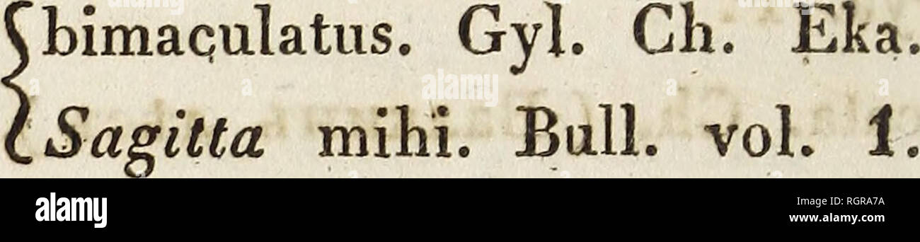 . Bulletin de la Soci©?t©? Imp©?riale des Naturalistes de Moscou. 138 187. Steropes. Stev. caspius. Stev. Charkoviaé faemina semel mihi obvia. 188. Anthicus. F. Monoceros. Ch. one Cel. Steyeni verus A. bimaçu- latus* 189. Pyrochroa. F. coccinea. Ch. 190. Pelecotonia. Fisch. Latreilleii Fisch. Ch. ( Ko^omok* ). 191. Mordella. F. fasciata Ch. Polt. aculeata* Ch. 192. Anaspis Geoff. frontalis. Ch. pedestris. id. antherinus. id. hirtellus. id. nectarinus. Vz. id.. 1. 196. opini-. Please note that these images are extracted from scanned page images that may have been digitally enhanced for readabil Stock Photo