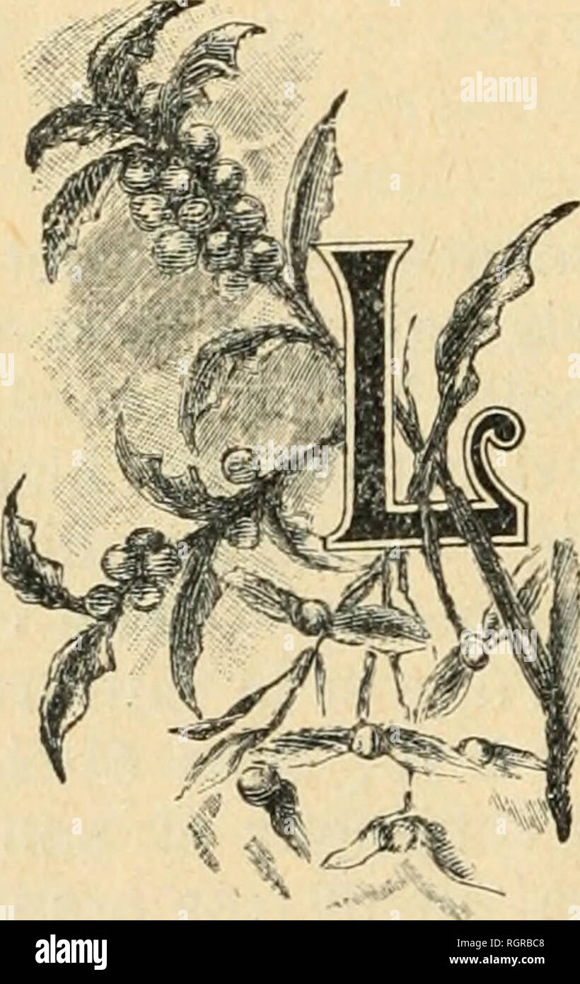 Trop Petit High Resolution Stock Photography And Images Alamy