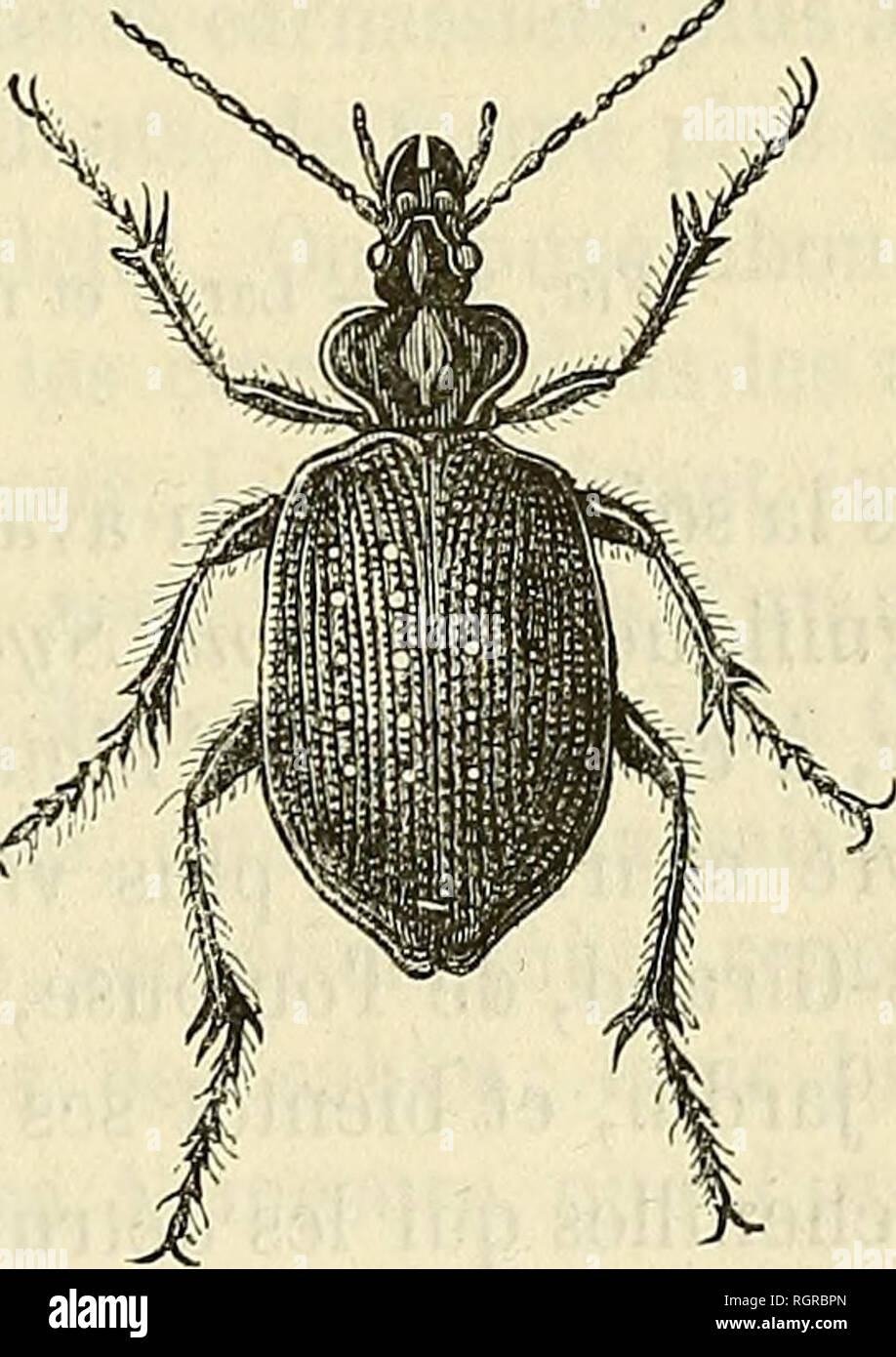 lancôme la nuit trésor