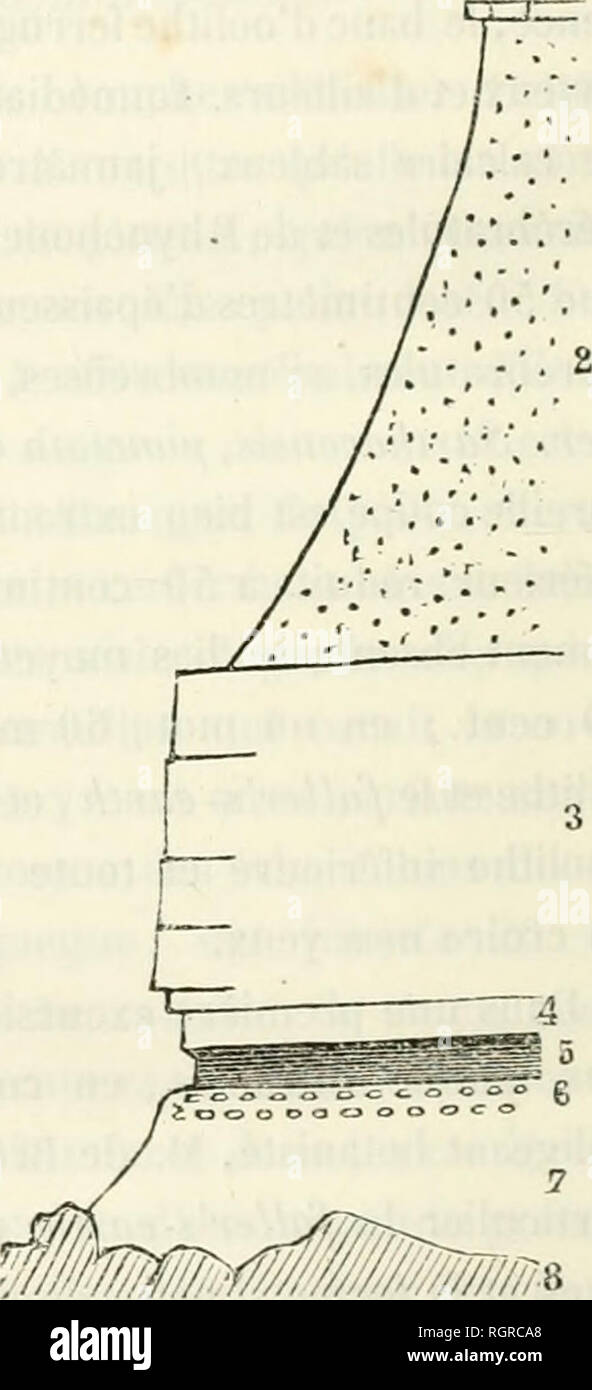 sac transparent irisé