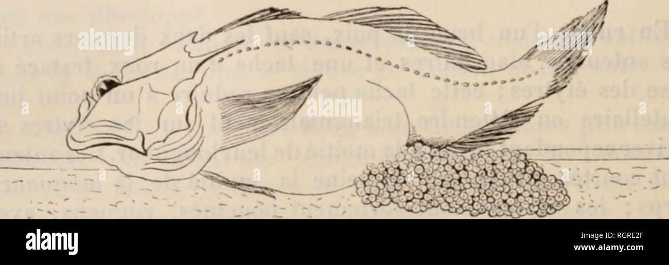 imperméable de peche