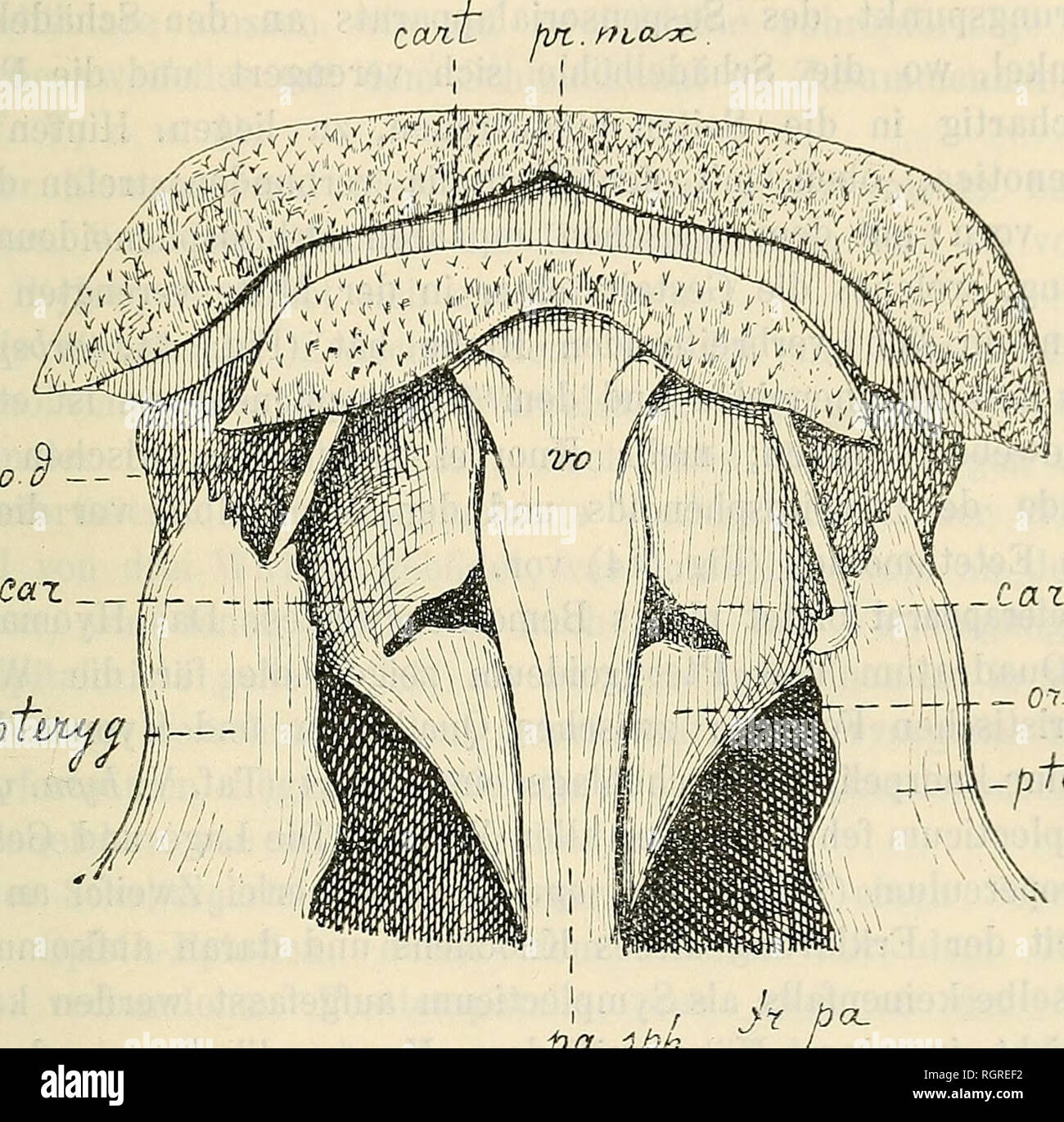 . Bulletin de la Société impériale des naturalistes de Moscou. Science