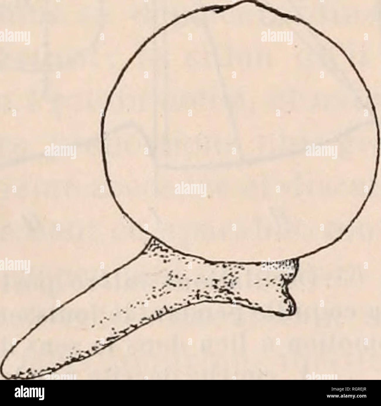 les fleches high resolution stock photography and images alamy