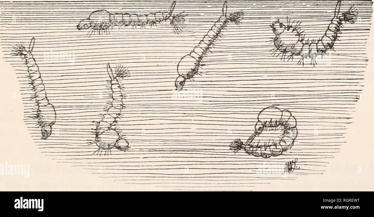 Pour que rien ne sefface