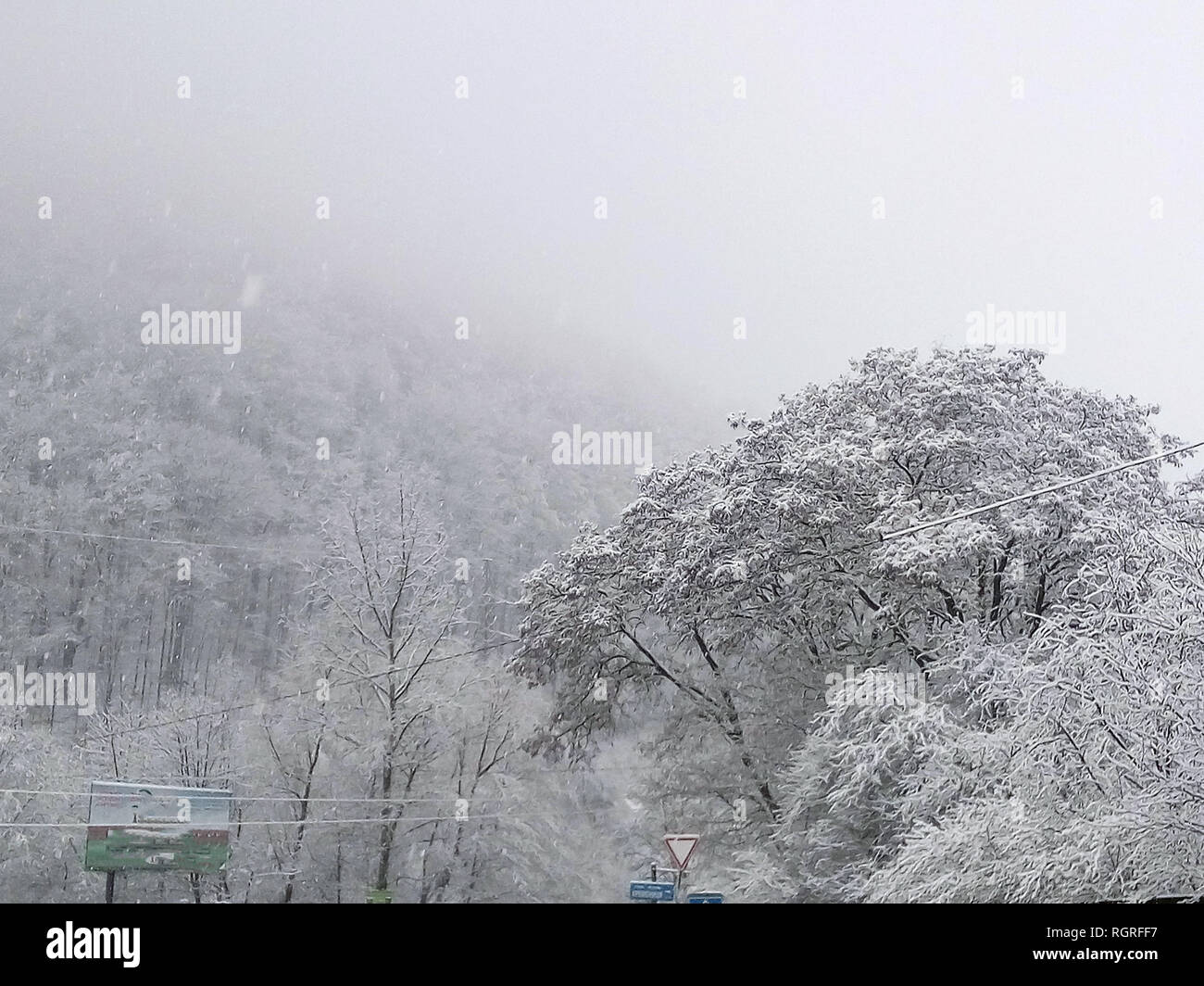 Winter forest in the snow. Mountains of snow. Frost and snowflakes