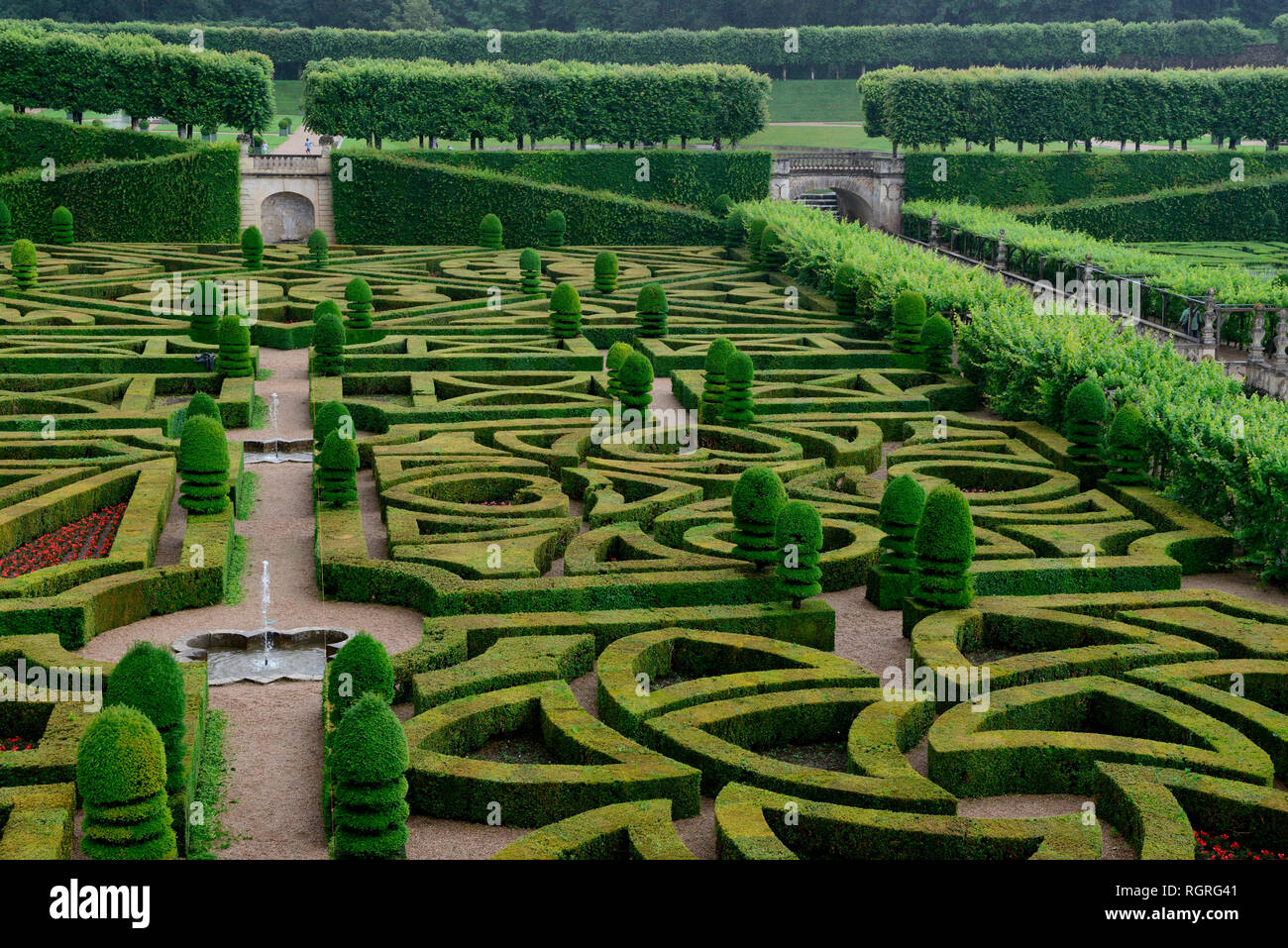 Garten von Schloss Villandry, Indre-et-Loire, Loiretal, Loire-Tal, Centre, Frankreich, Chateau de Villandry Stock Photo