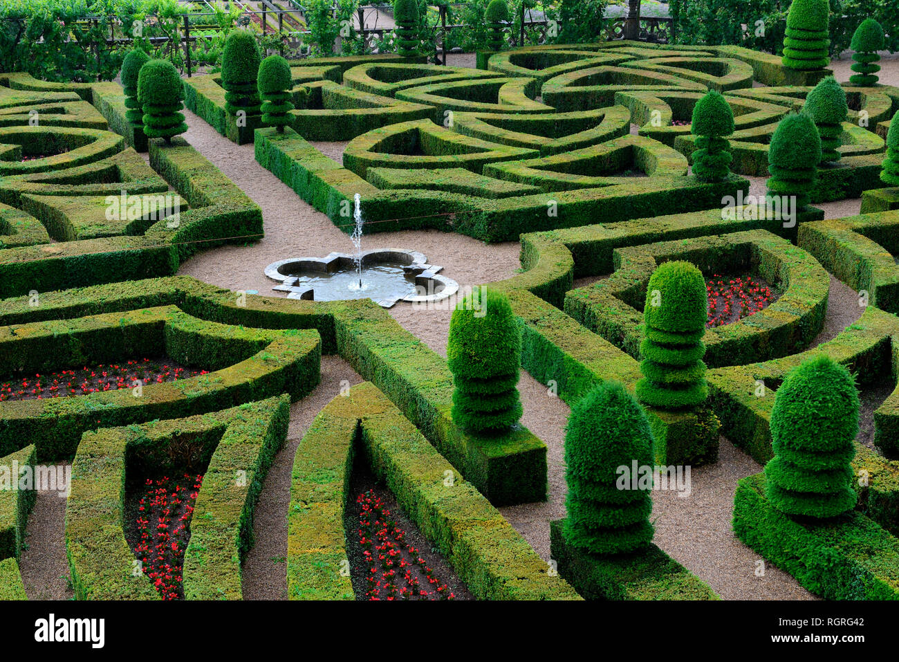 Garten von Schloss Villandry, Indre-et-Loire, Loiretal, Loire-Tal, Centre, Frankreich, Chateau de Villandry Stock Photo
