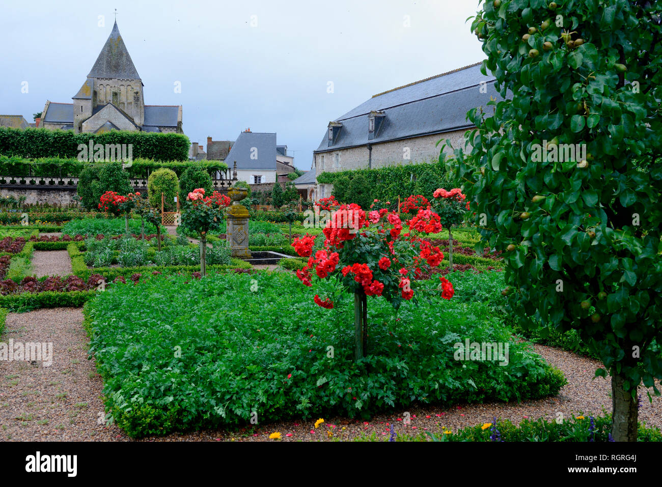 Gemuesegarten von Schloss Villandry, Indre-et-Loire, Loiretal, Loire-Tal, Centre, Frankreich, Chateau de Villandry Stock Photo