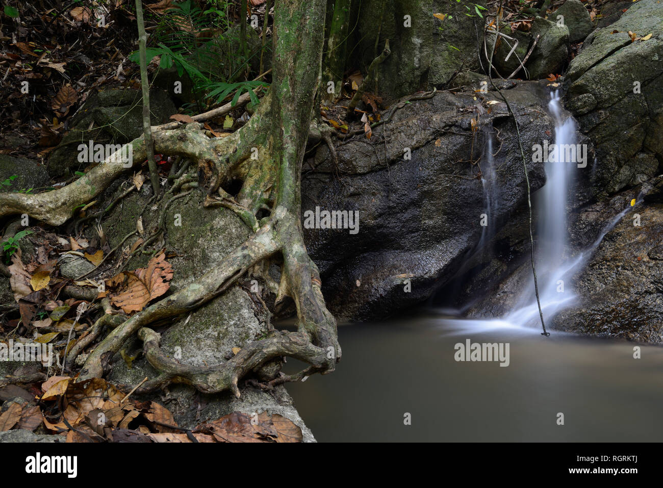 Kaskaden des Kathu Wasserfall, Phuket, Thailand Stock Photo