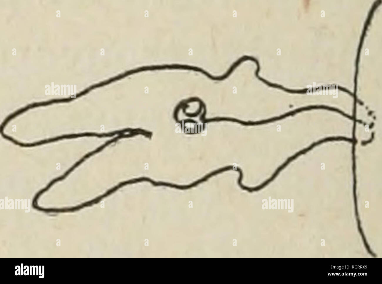 Page 4 Fidji High Resolution Stock Photography And Images Alamy