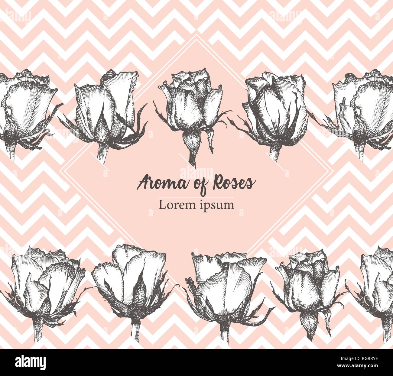 Cute valentines day or label card with Rose flower sketch in engraving style Vintage vector illustration Lovely background. Typography design. Letteri Stock Vector