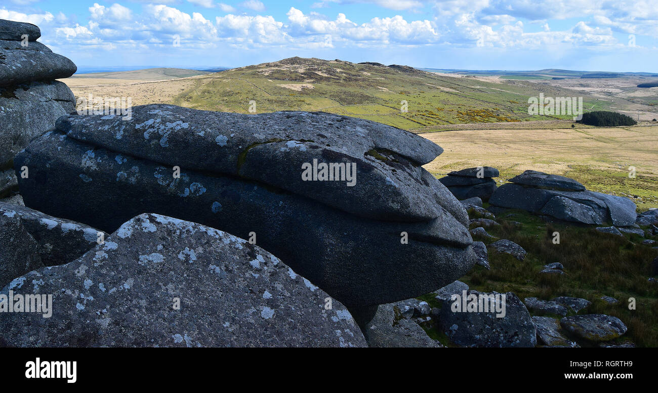 Rough Tor/Brown Willy, Bodmin Moor, Cornwall, 260417 Stock Photo Alamy