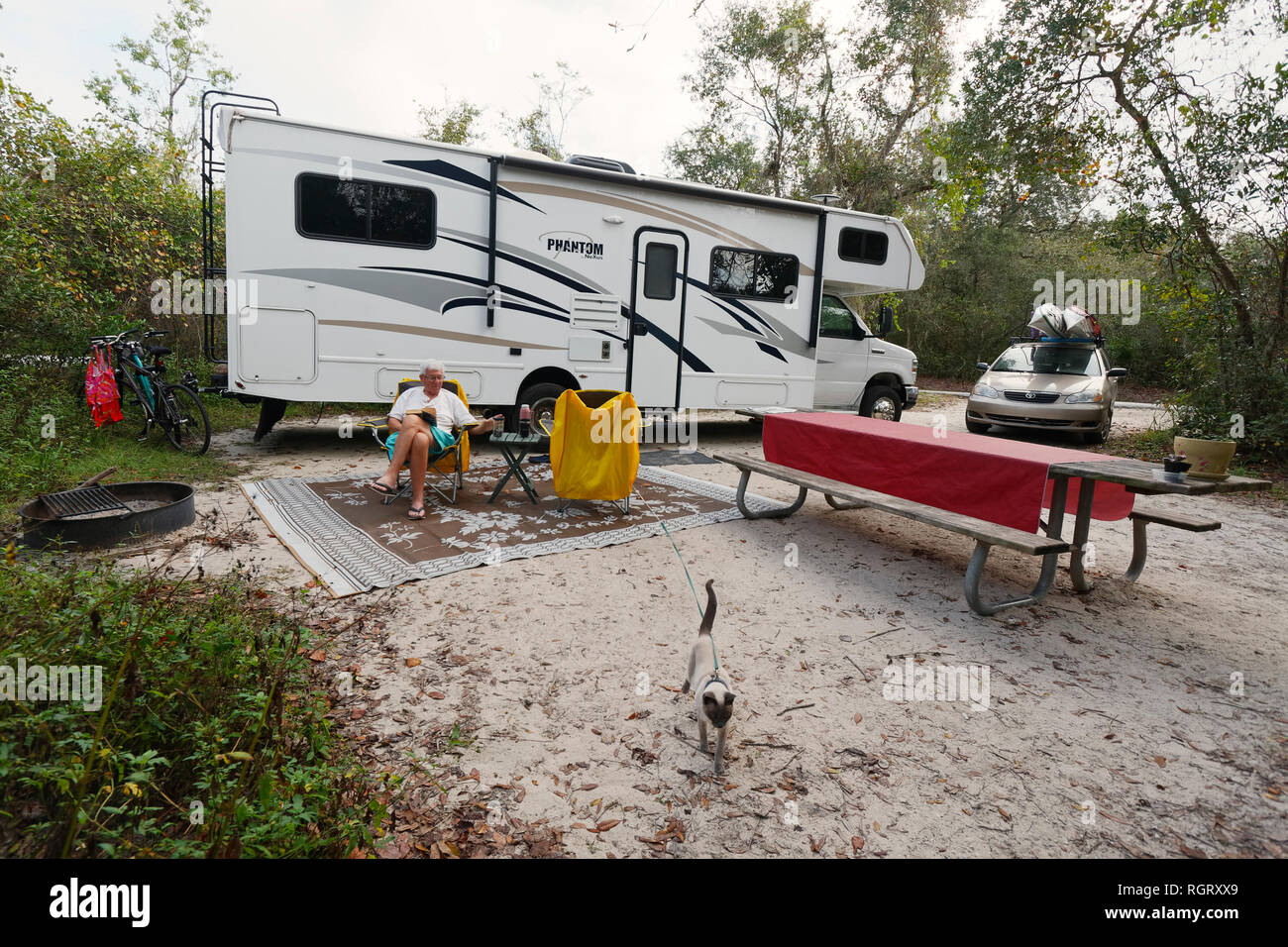 campsite scene, class C motorhome, RV, man reading, cat on leash, table