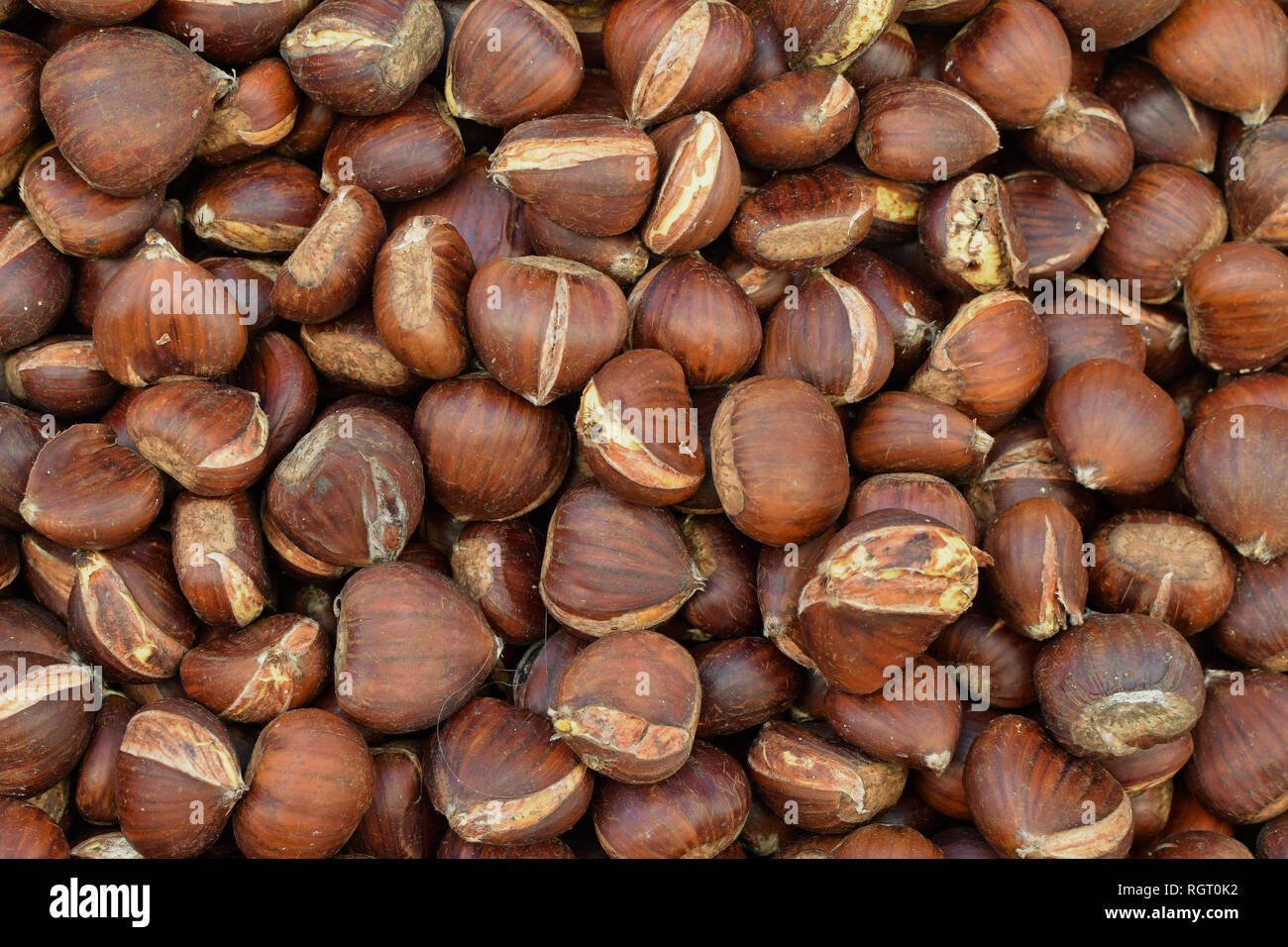 Fresh chestnuts edible culinary nuts snack food background. Stock Photo