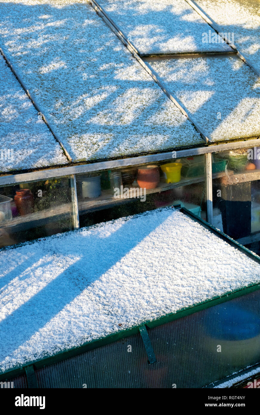 Light snow covering a greenhouse and cold frame in an english garden. UK Stock Photo