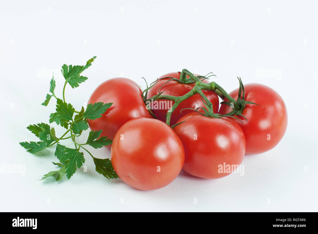 ripe tomatoes on a branch .isolated white background Stock Photo - Alamy