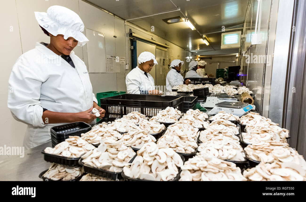 Johannesburg, South Africa March 03 214 Inside a Commercial