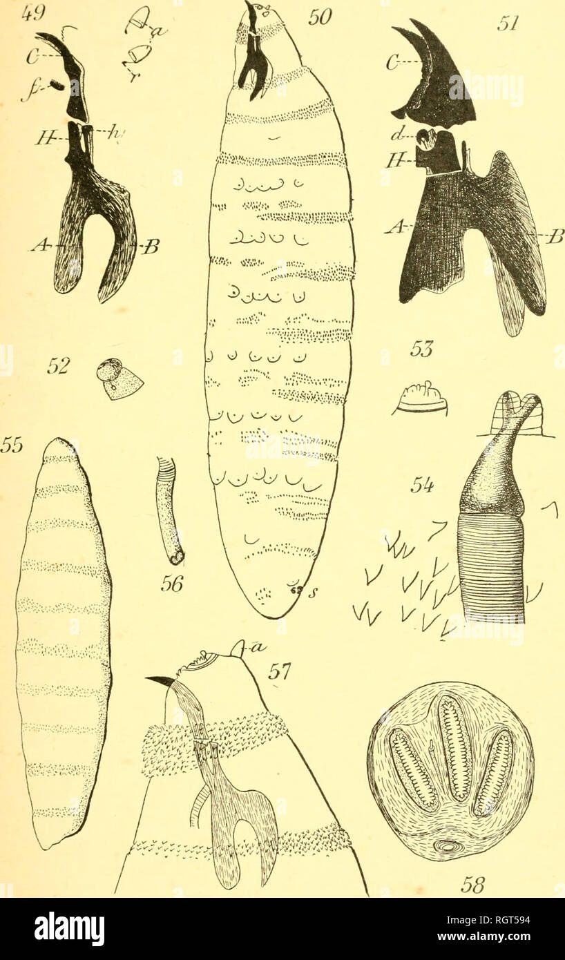 brassière post opératoire