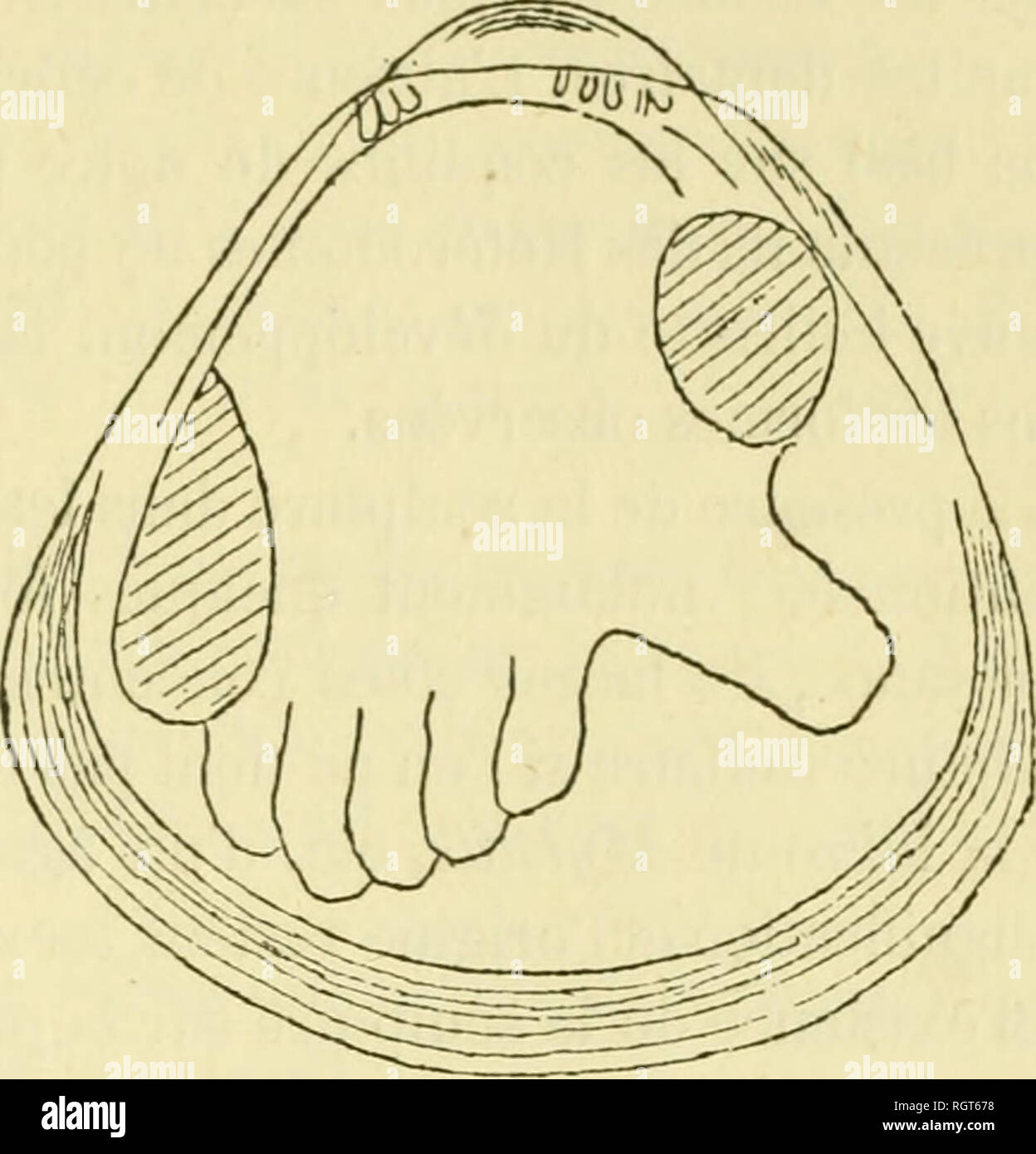 annonces jaunes rencontre