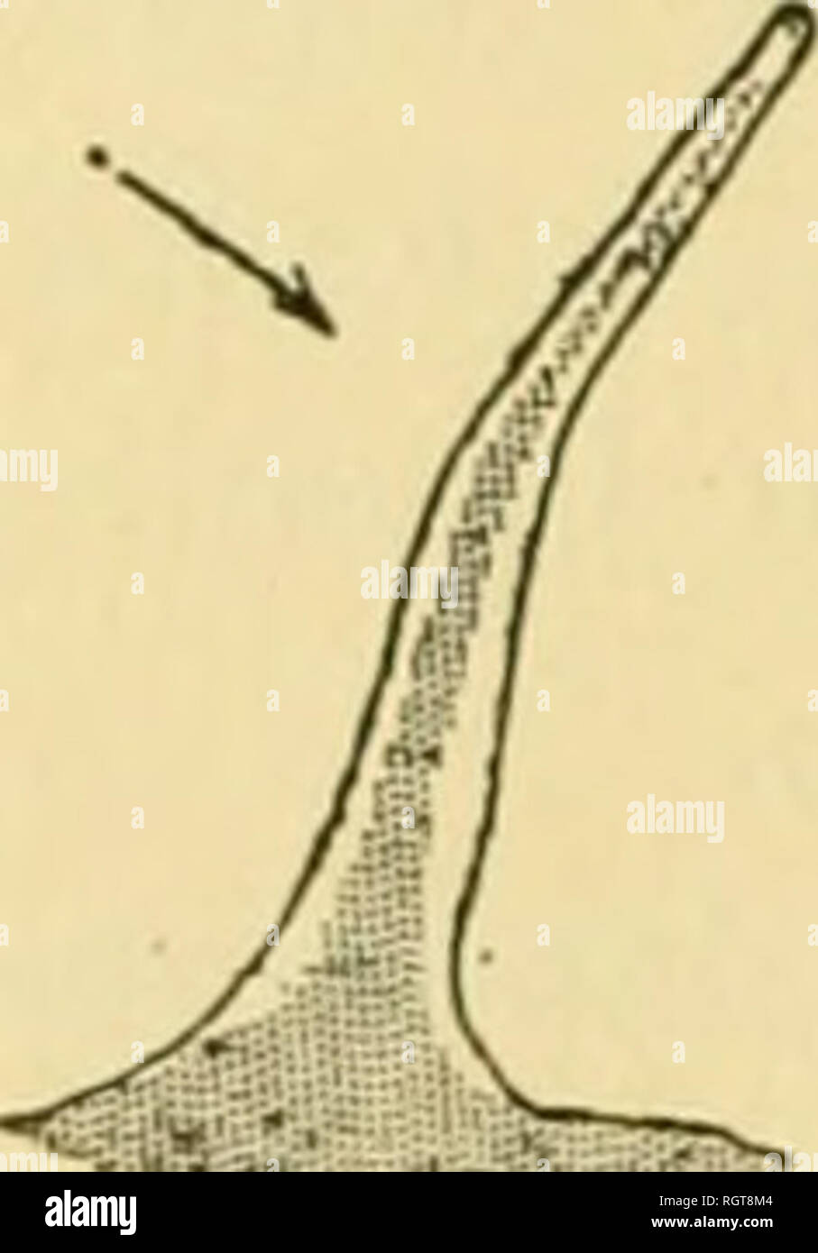 Corps rigide hi-res stock photography and images - Alamy