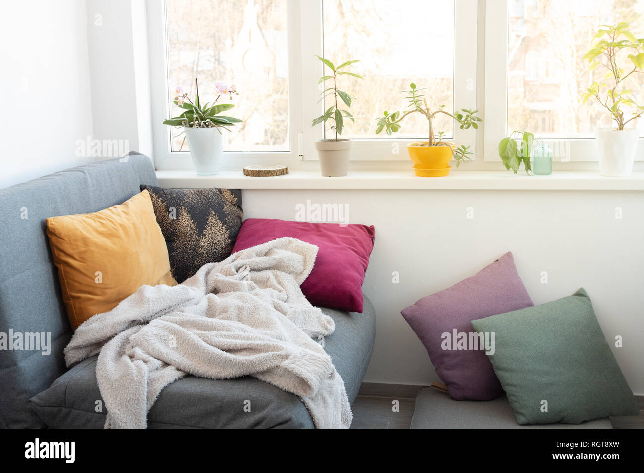 Cozy Comfortable Room With Lot Of Light From Window Stock Photo