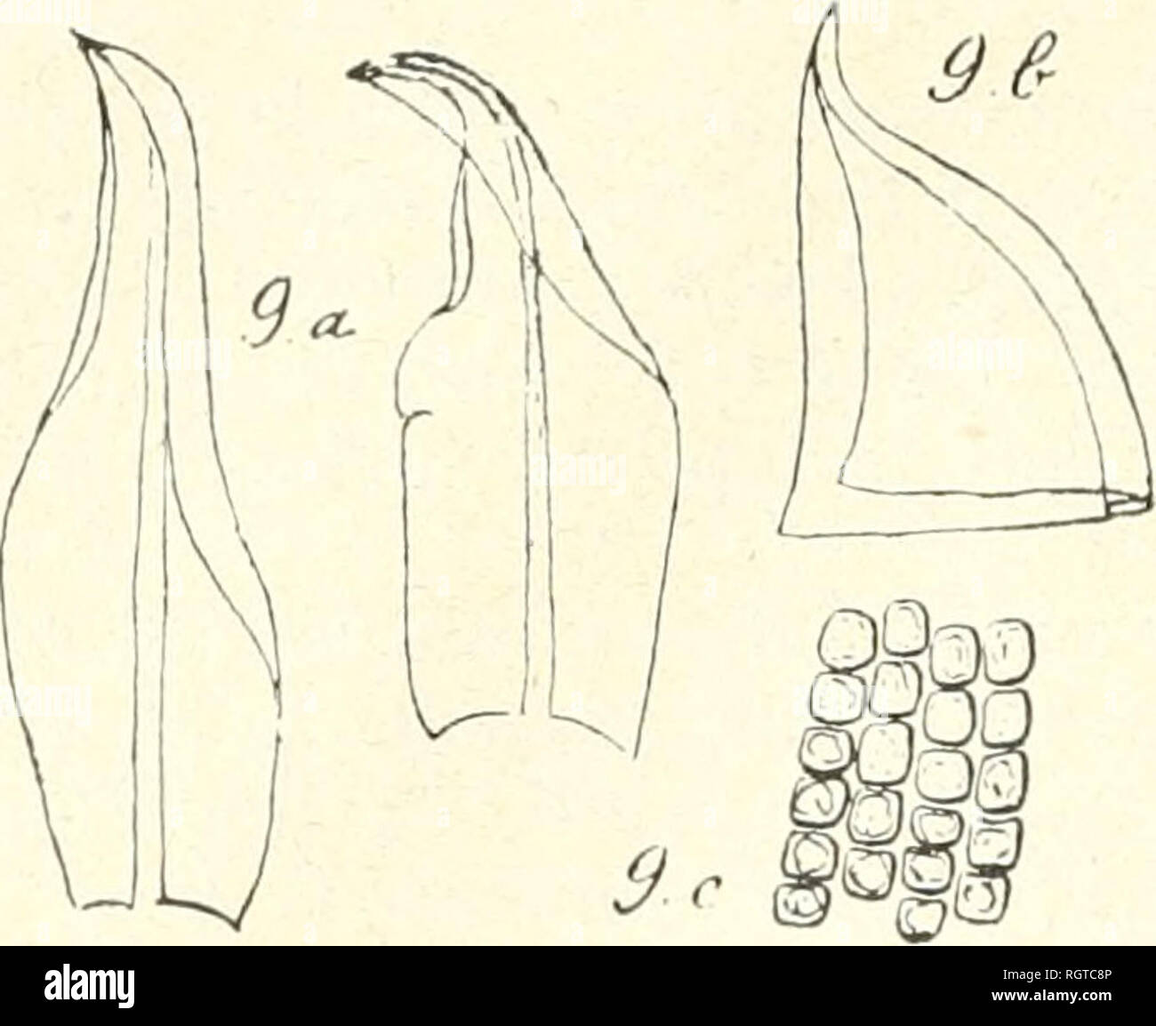 Page 4 250 Ton High Resolution Stock Photography And Images Alamy