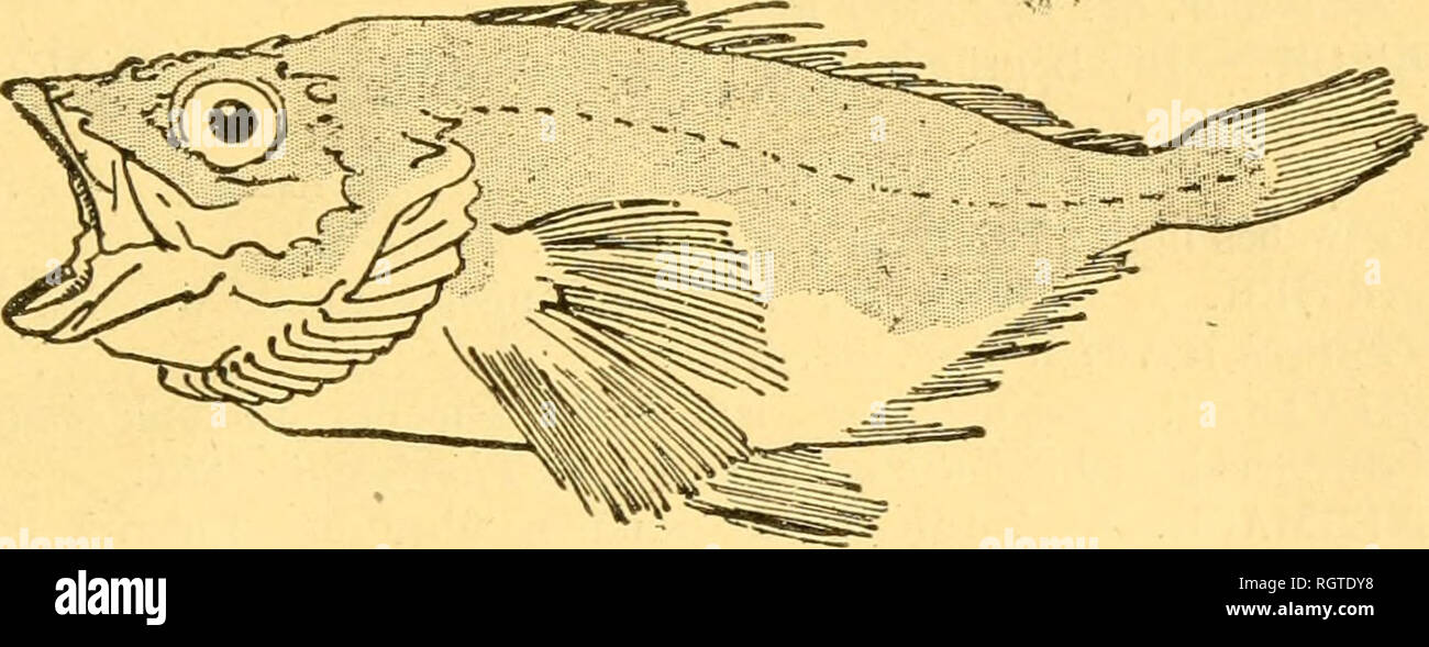 rencontre signification