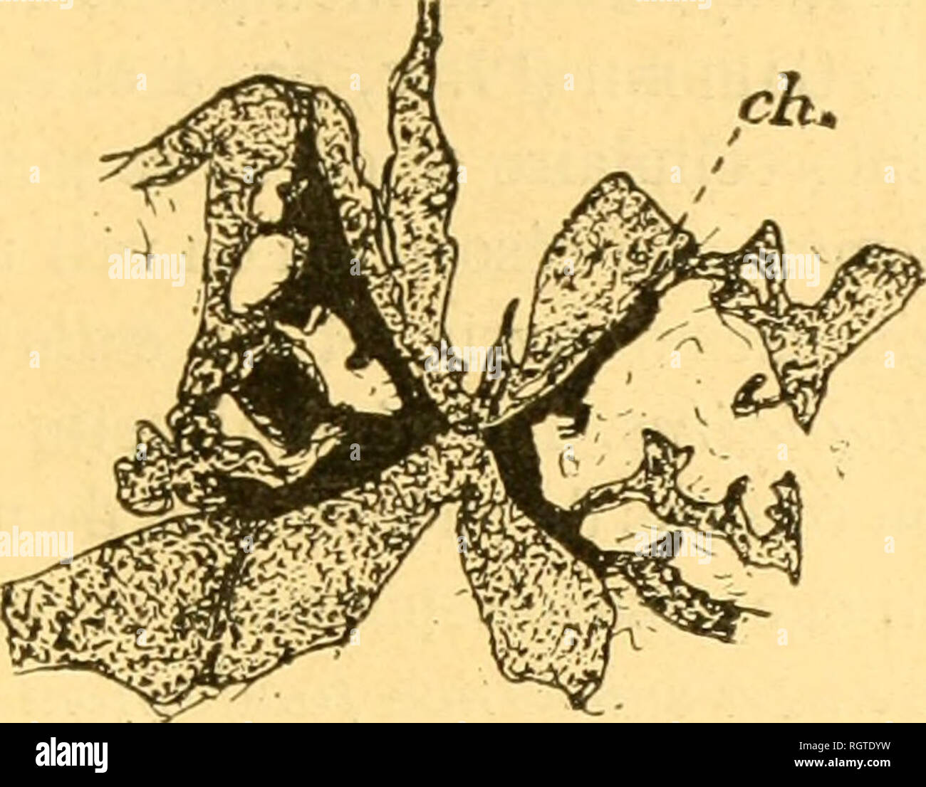 pull avec jupe longue