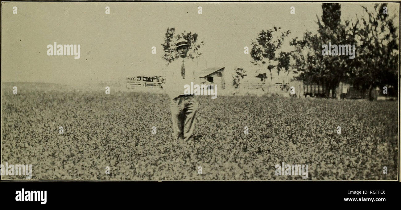 July 2 1911 hi-res stock photography and images - Page 4 - Alamy