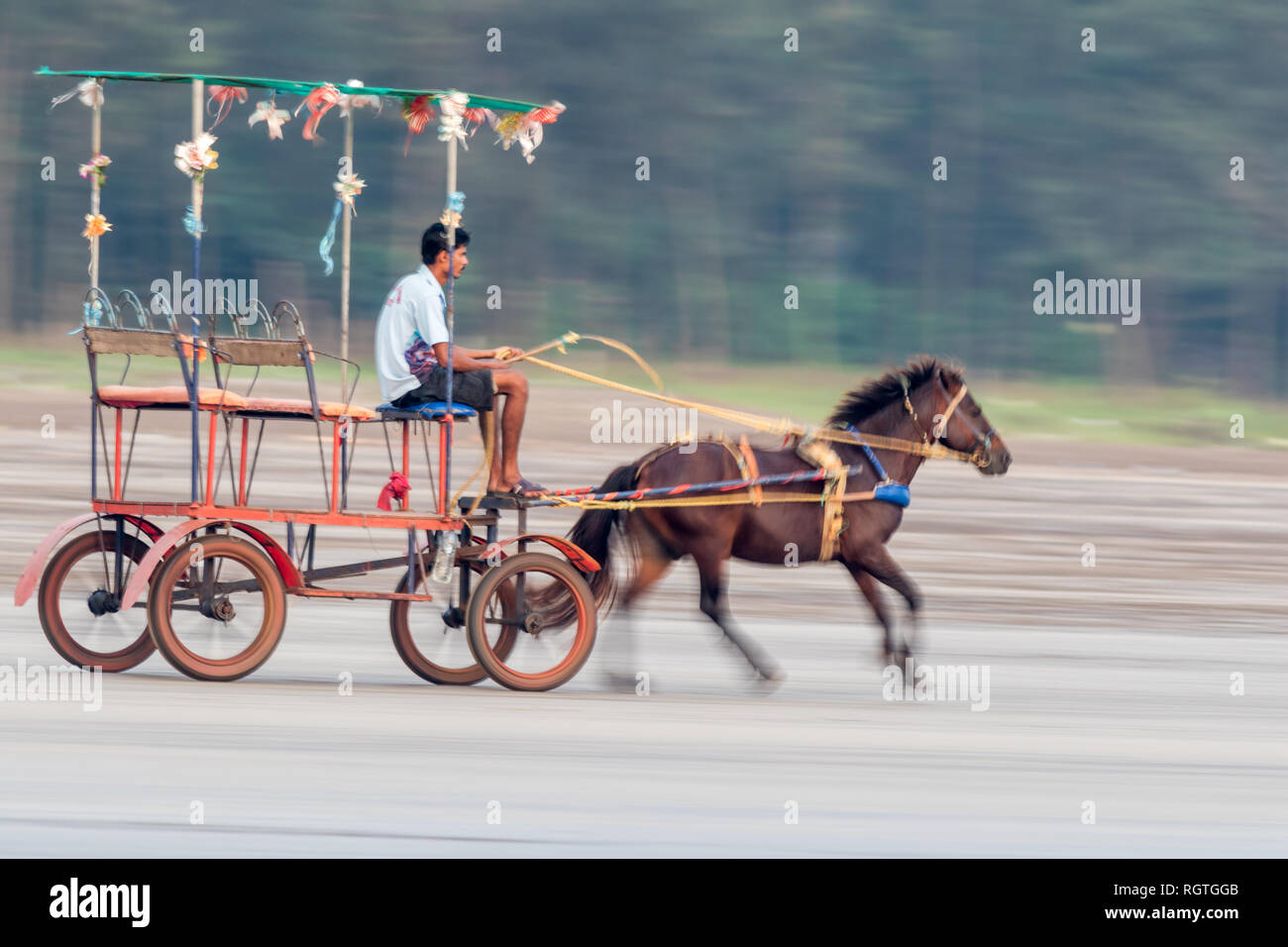 A horse ride offered at the Akshi beach near Alibaug near Mumbai