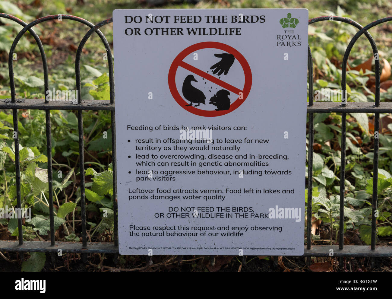 Warning not to feed birds hires stock photography and images Alamy