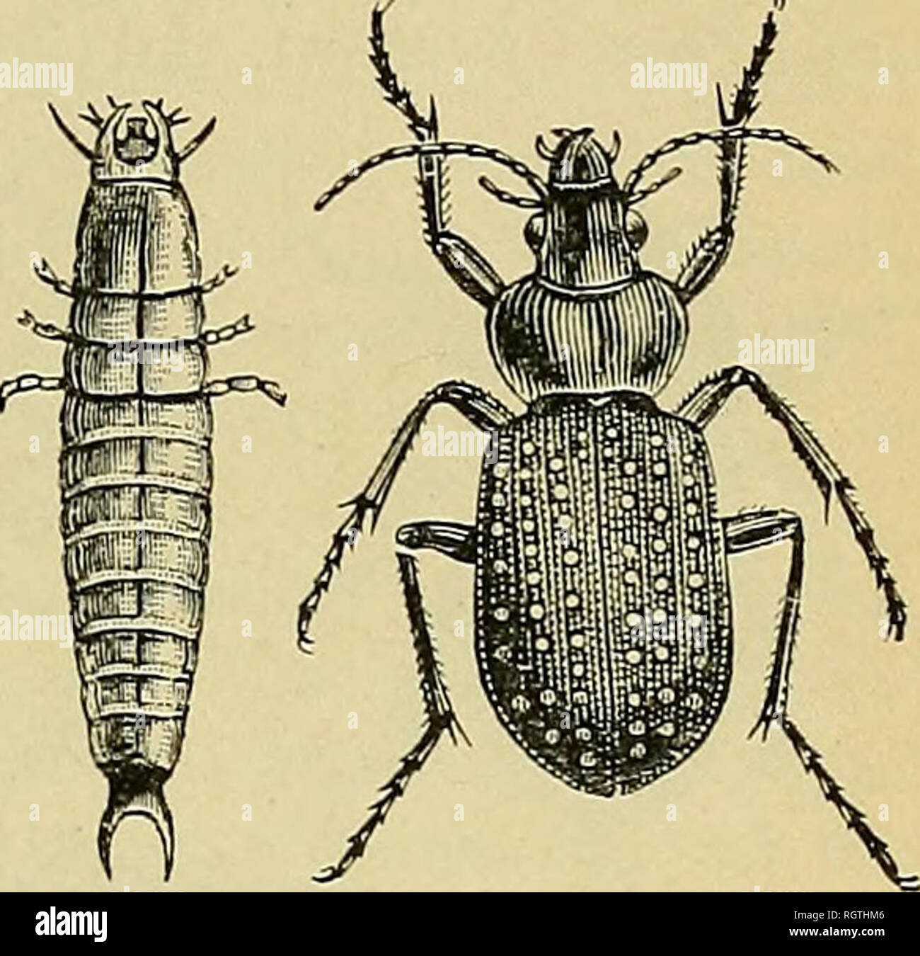 . Bulletin - United States National Museum. Science. [43] COLLECTING ...