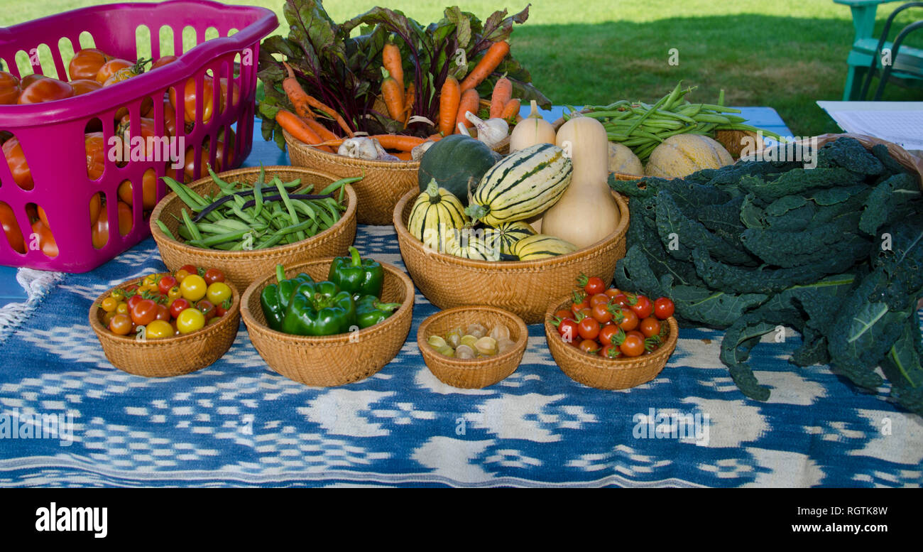 A still life of harvest vegetables arranged in baskets at the community