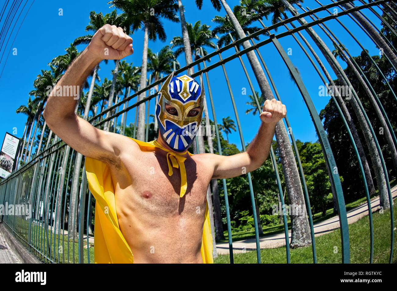 Rio carnival mask hi-res stock photography and images - Alamy