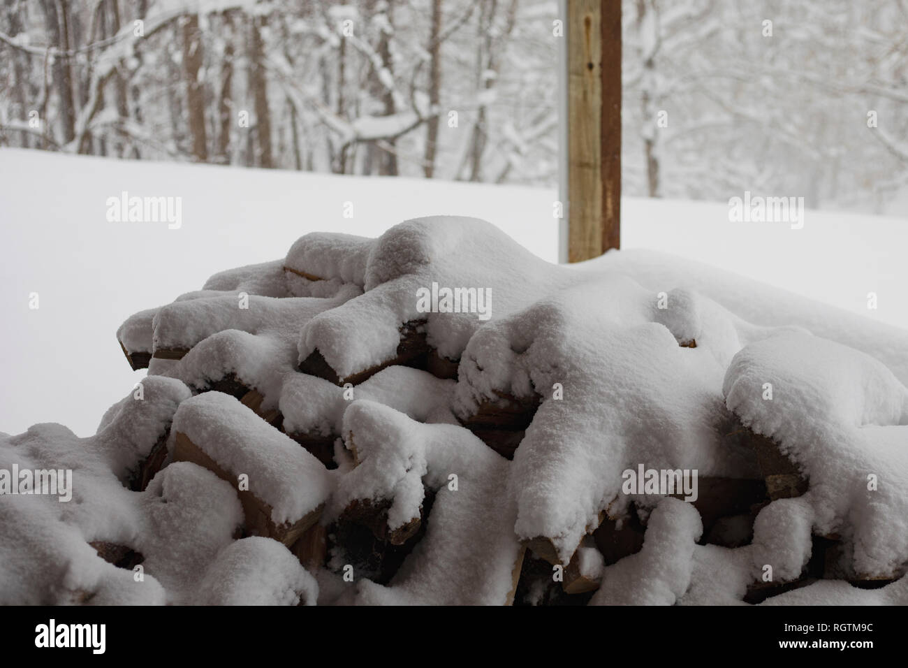 Wood pile is covered with snow following Winter Storm Diego. Stock Photo