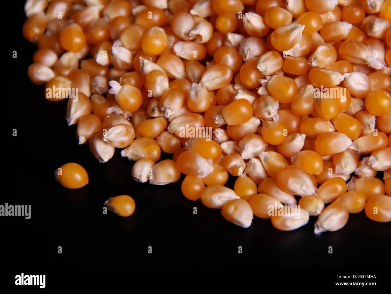 Corn seeds isolated on black background Stock Photo