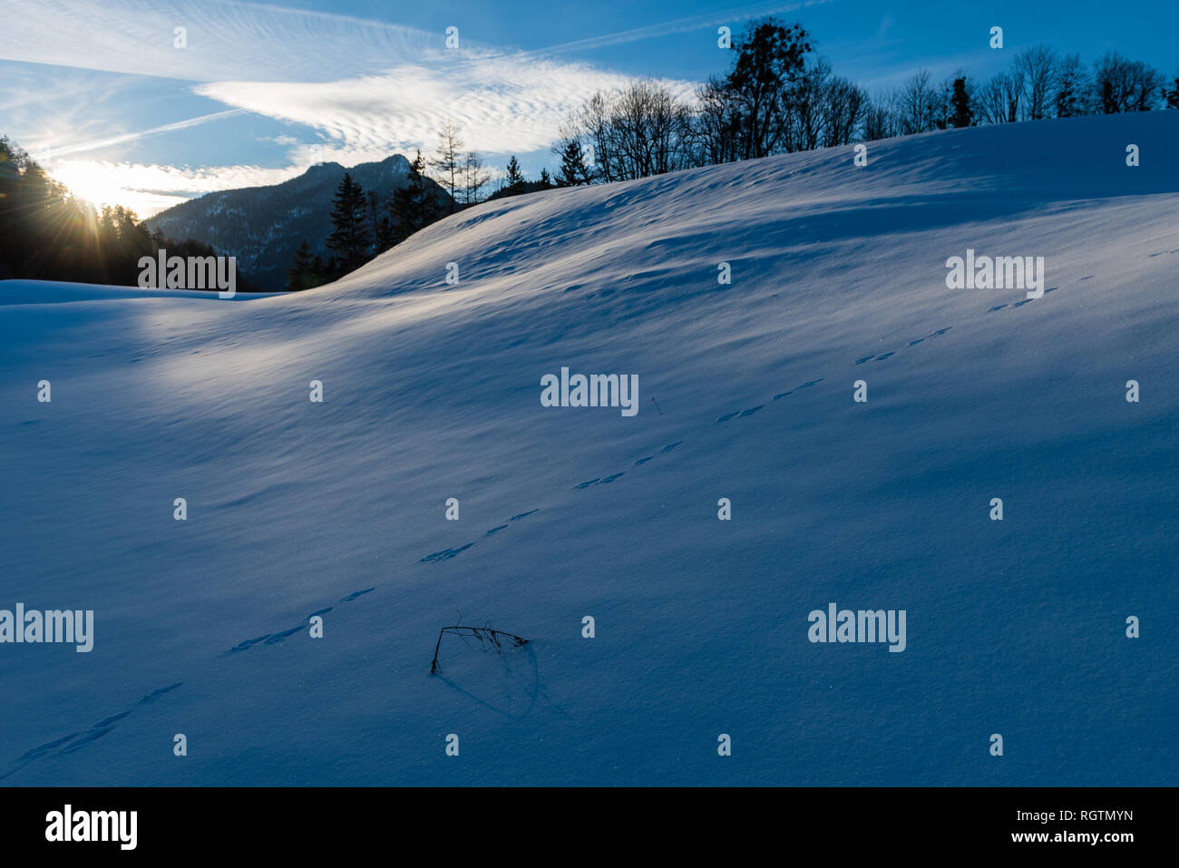 Last Sunrays on a Snowfield in Bayrisch Gmain, Bavaria, Germany Stock Photo