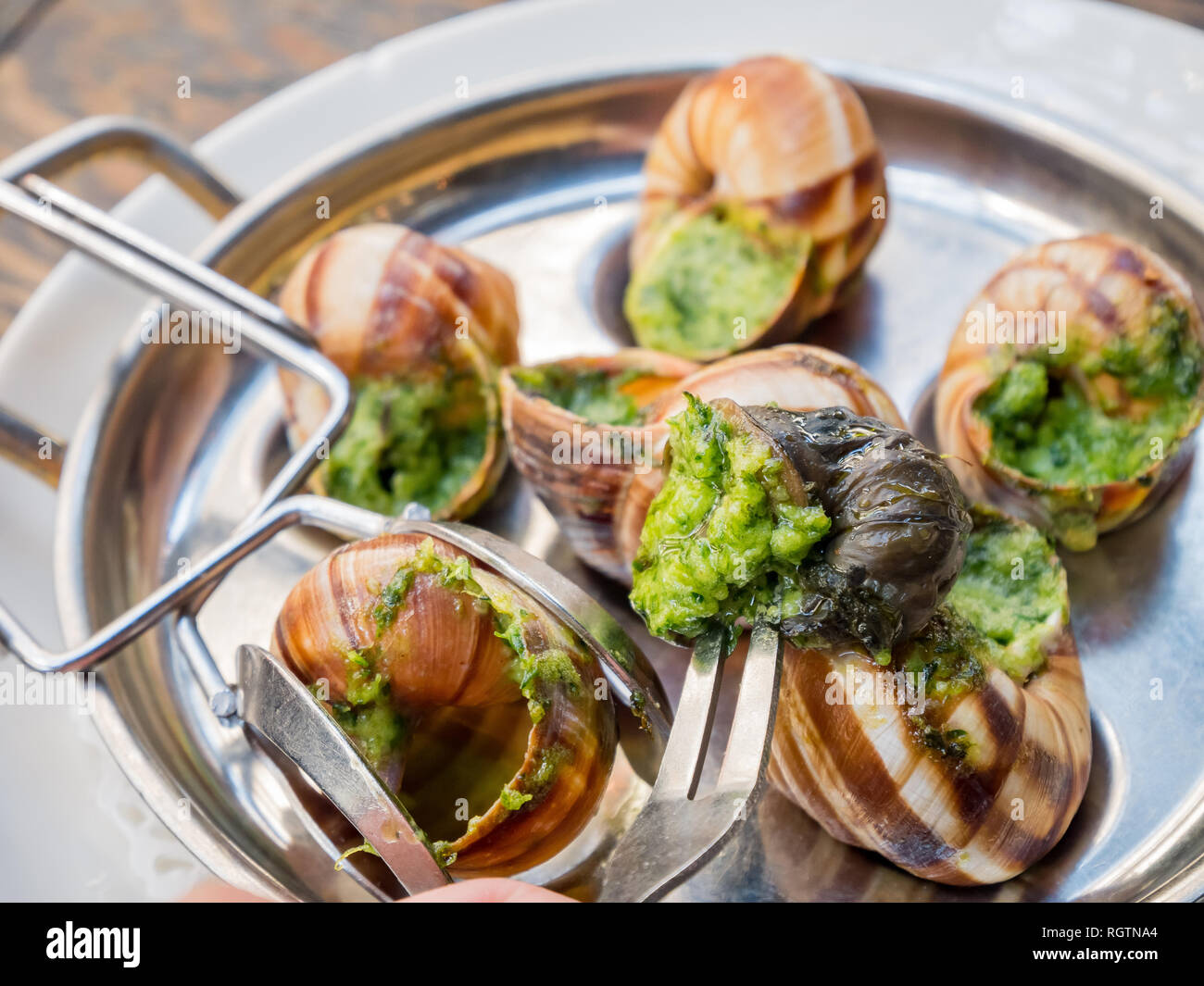 Snails Food High Resolution Stock Photography and Images Alamy