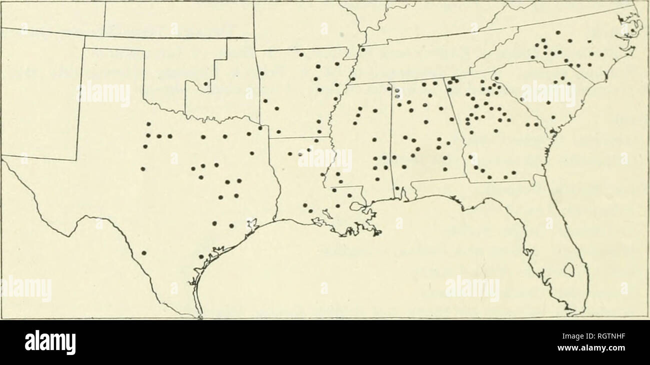 . Bulletin. 1901-13. Agriculture; Agriculture. 94 VARIETIES or AMERICAN UPLAND COTTON. Pride of Georgia. Bic-Boll Gkoip. Distribulion: iSce map, figure 45. Alabama Bulletins 130, 138, 140. Georgia Bulletins 39, 75, 79. Congrossional Cot- ton Seed Distribulion Lfaflets for 1904 and 1906. Developed from Jones Improved by J. F. Jones, of Hogansville, Ga. It is there- fore a strain of Wyche and retains many of the good qualities of this standard variety, and in addition is somewhat earlier in maturity, the joints of the fruiting branches being shorter and inclined to semicluster slightly, while th Stock Photo