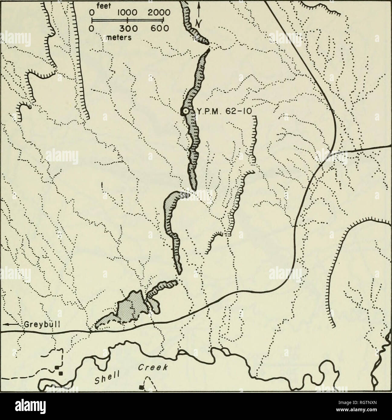Bulletin. Natural history. 215. LOCALITY MAP F YPM 62-11 NE 1/4 Sec. 1 ,  T.54 N. , R.95 W. , 2. 5 miles (4 km) WSW of Himes , Big Horn