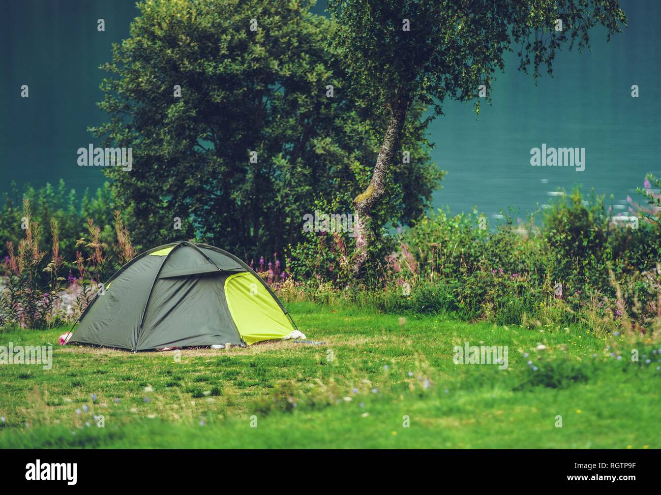 Tent Camping in the Wild. Summer Time Outdoor Vacation. Campsite and Small Tent. Stock Photo