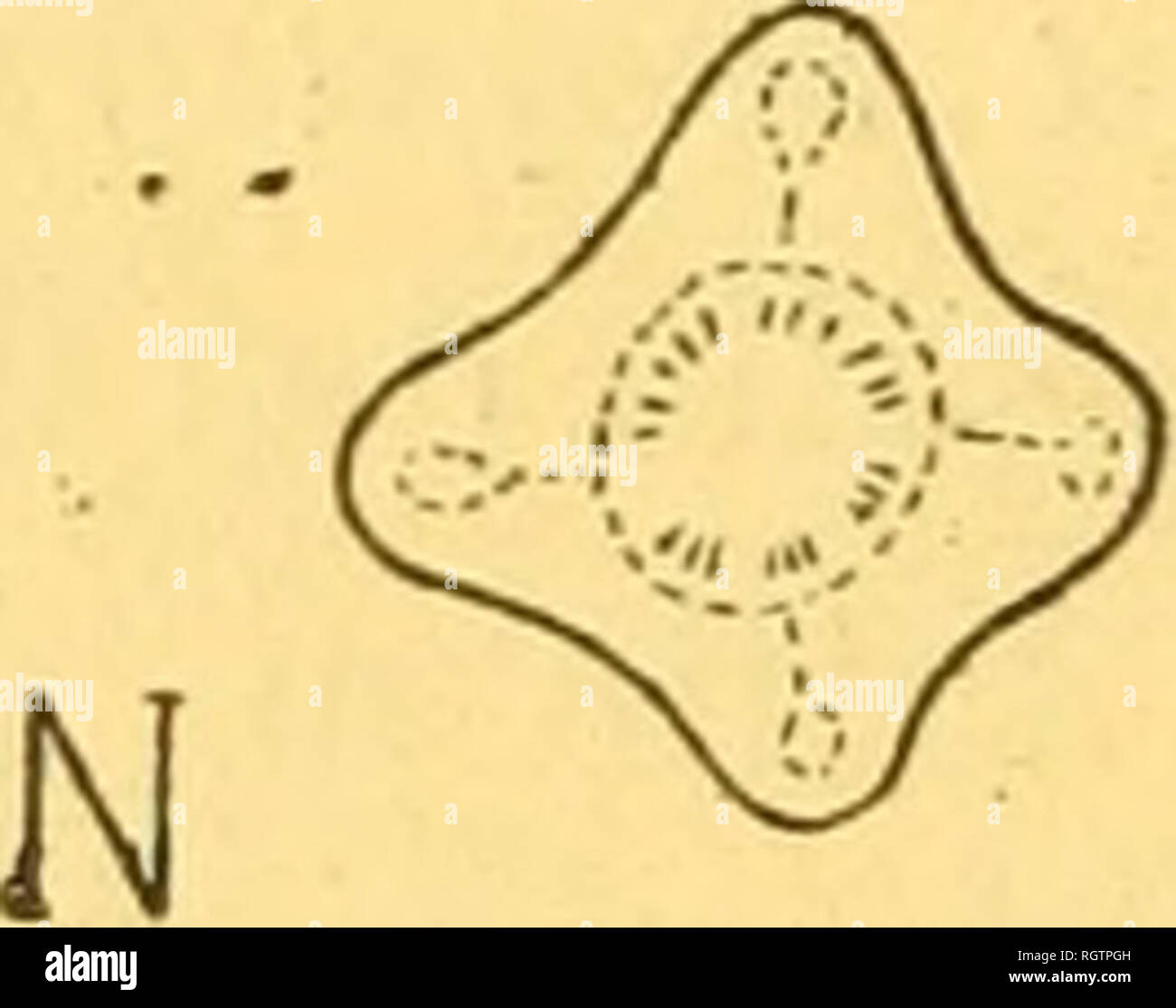 Page 2 L 134 0 High Resolution Stock Photography And Images Alamy